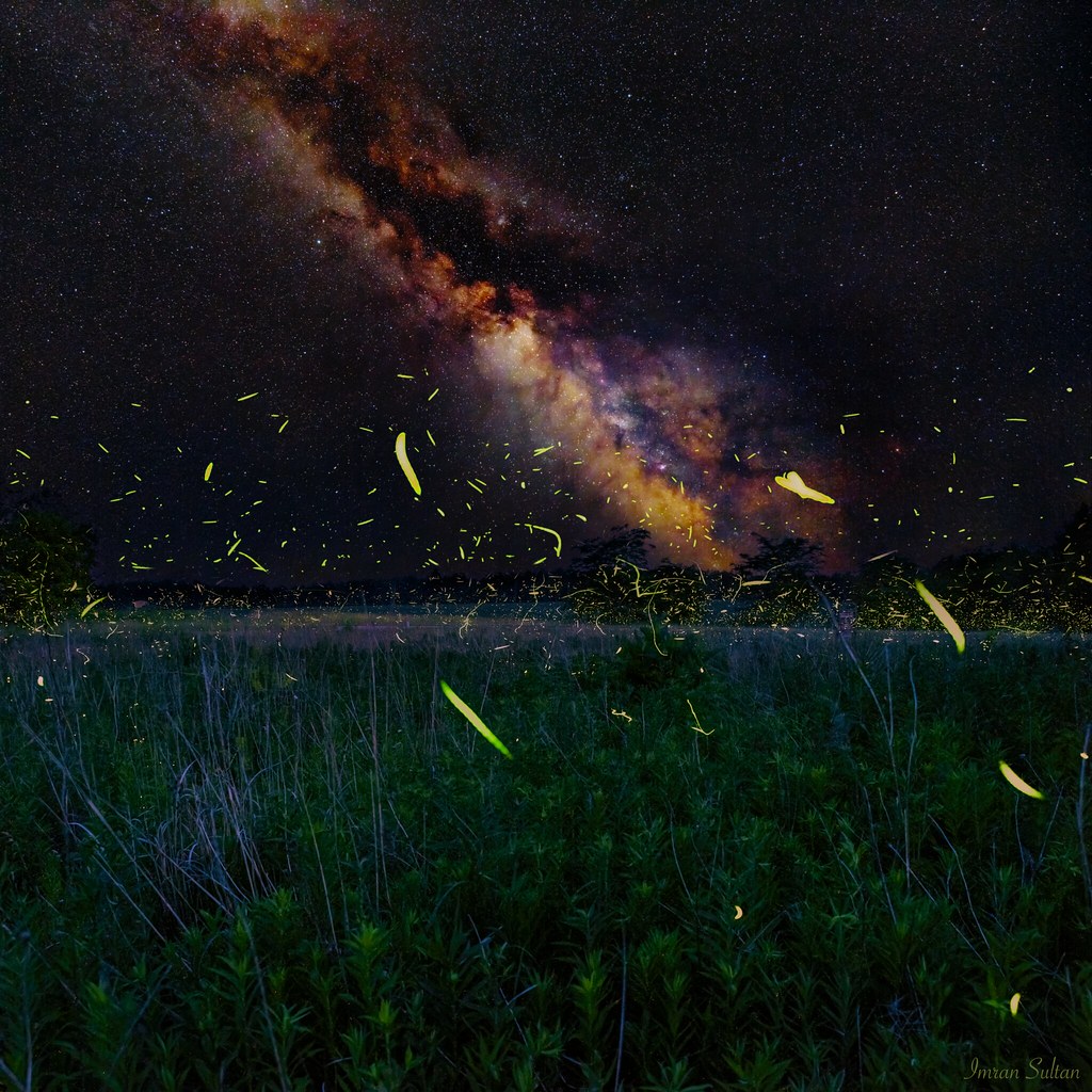 Dance of Fireflies in the Core of the Milky Way