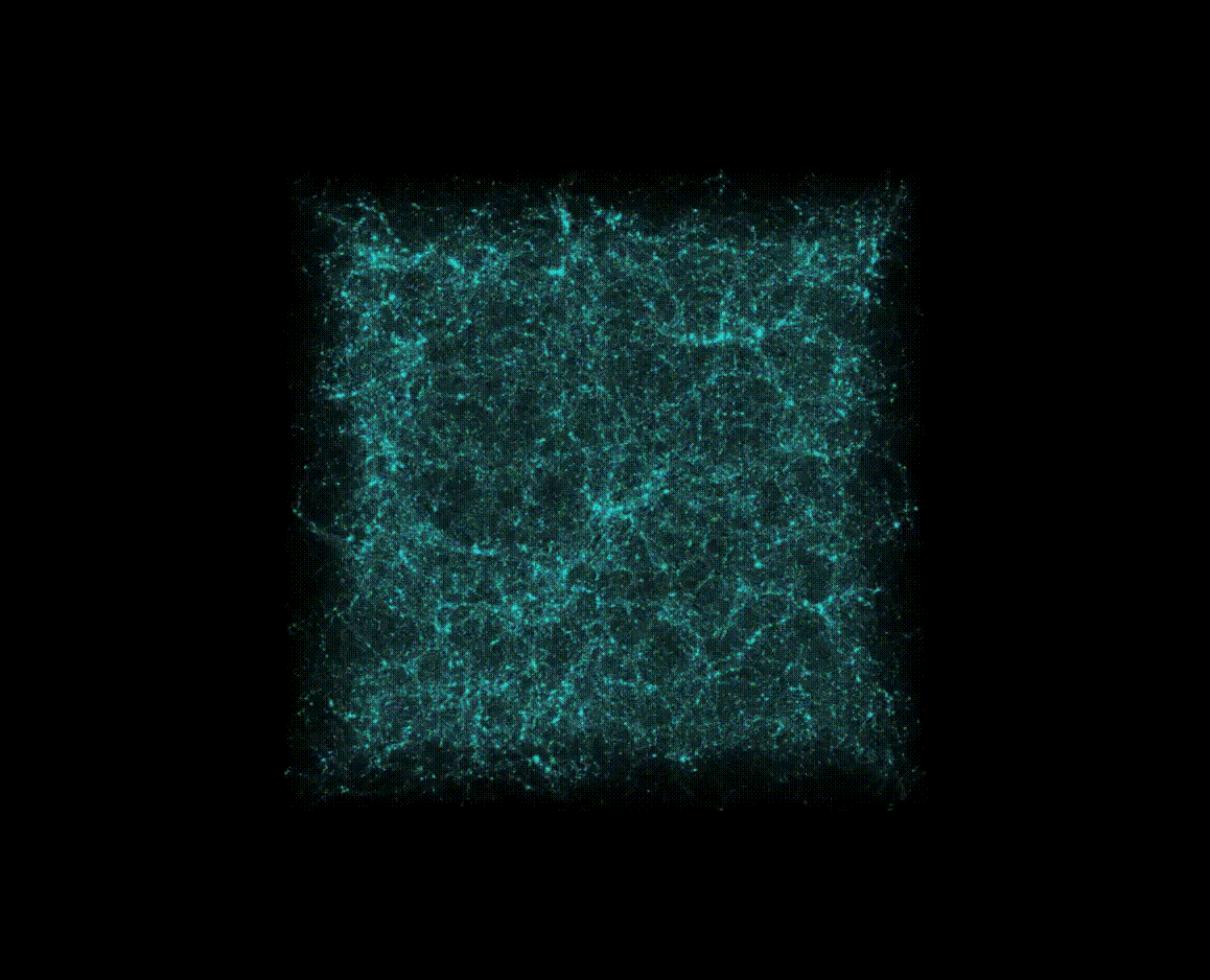 Alpha Quadrant dark matter distribution
